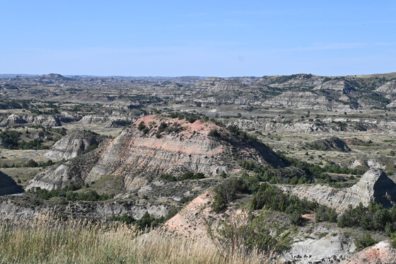 Theodore Roosevelt National Park