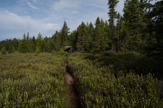 Boundary Waters Canoe Area Wilderness