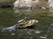 Boundary Waters Canoe Area Wilderness