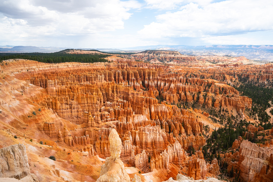 Bryce National Park