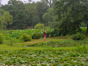 Kenilworth Park & Aquatic Gardens