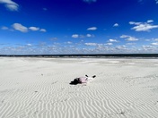 Cumberland Island National Seashore