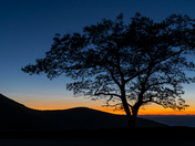 Shenandoah National Park 