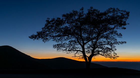 Shenandoah National Park 