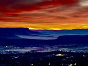 Kaibab National forest