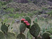 North Rim of Grand Canyon
