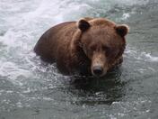 Katmai National Park & Preserve