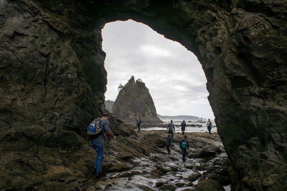 Olympic National Park