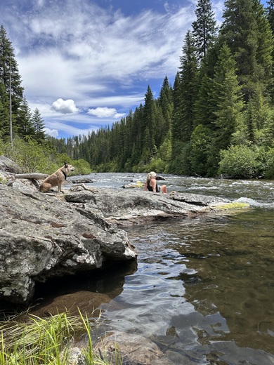 Nez Perce Clearwater National Forest 