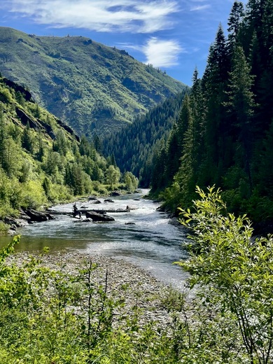 Nez Perce National Forest 
