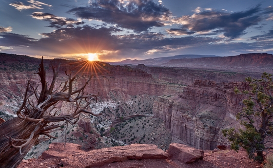 Capitol Reef National Park 