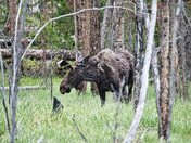 Rocky Mountain National Park