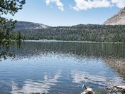 Uinta-Wasatch-Cache National Forest