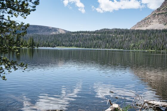 Uinta-Wasatch-Cache National Forest