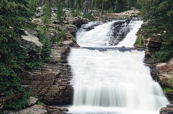 Uinta-Wasatch-Cache National Forest