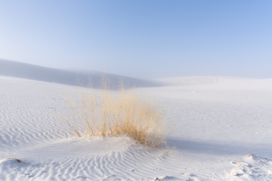 White Sands National Park