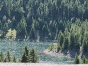 Custer Gallatin National Forest