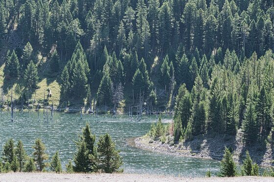 Custer Gallatin National Forest