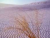 White Sands National Park