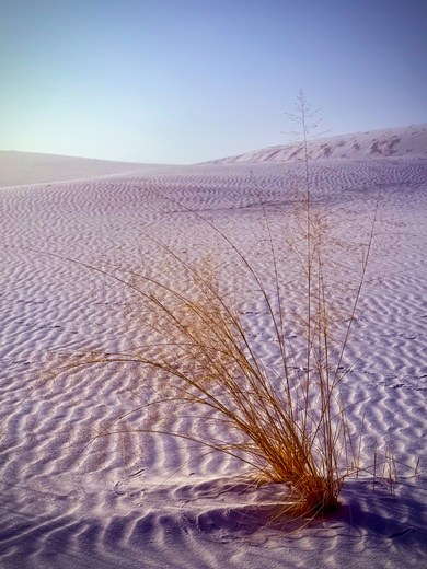 White Sands National Park