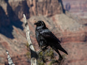 Grand Canyon National Park