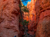 Bryce Canyon National Park