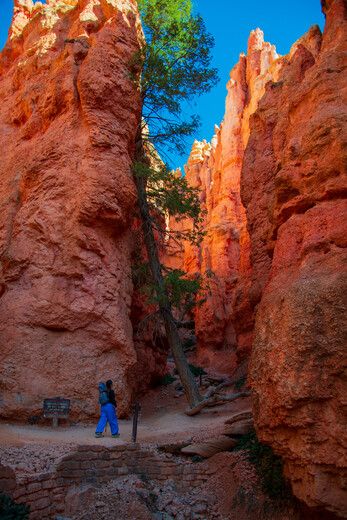 Bryce Canyon National Park