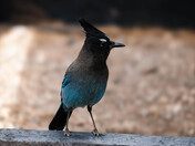 Bryce Canyon National Park