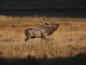 Rocky Mountain National Park