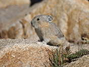 Rocky Mountain National Park