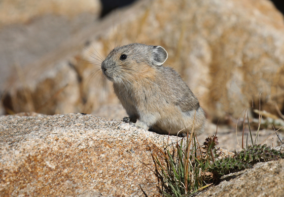 Rocky Mountain National Park