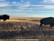 Badlands National Park