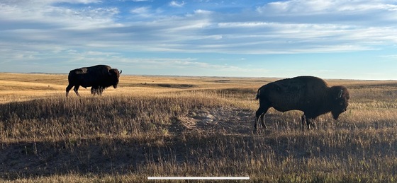 Badlands National Park