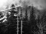 Great Smoky Mountains National Park