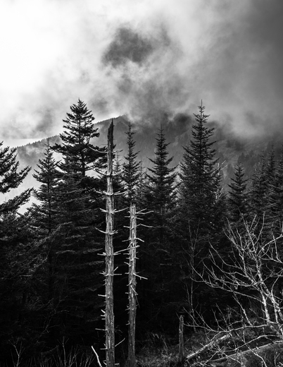 Great Smoky Mountains National Park