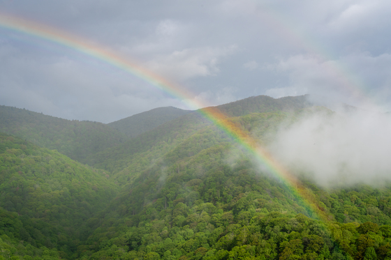 Blue Ridge Parkway