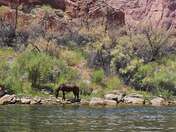 Glen Canyon National Recreation Area