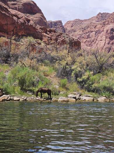 Glen Canyon National Recreation Area