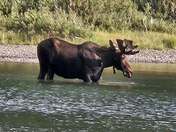 Glacier National Park