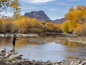 Tonto National Forest