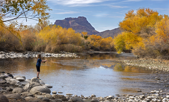 Tonto National Forest