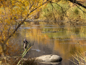 Tonto National Forest