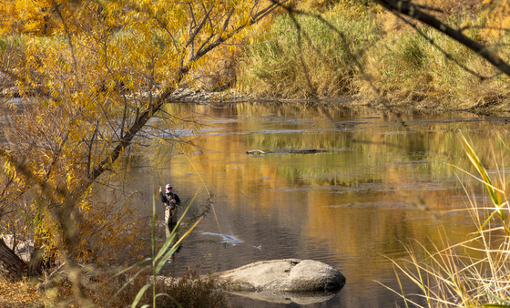 Tonto National Forest