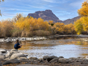 Tonto National Forest