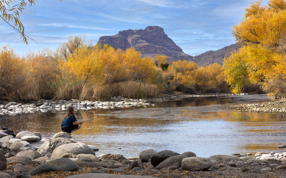 Tonto National Forest