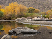 Tonto National Forest