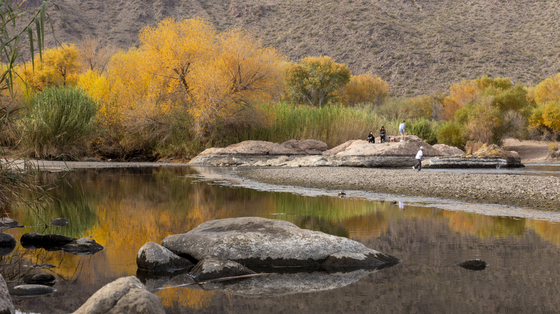 Tonto National Forest