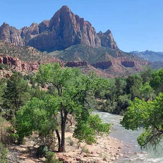 Zion National Park