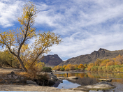 Tonto National Forest