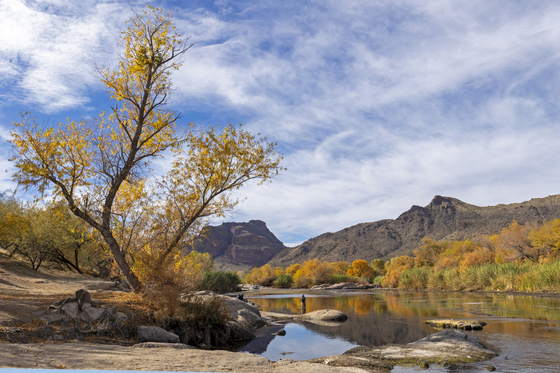 Tonto National Forest